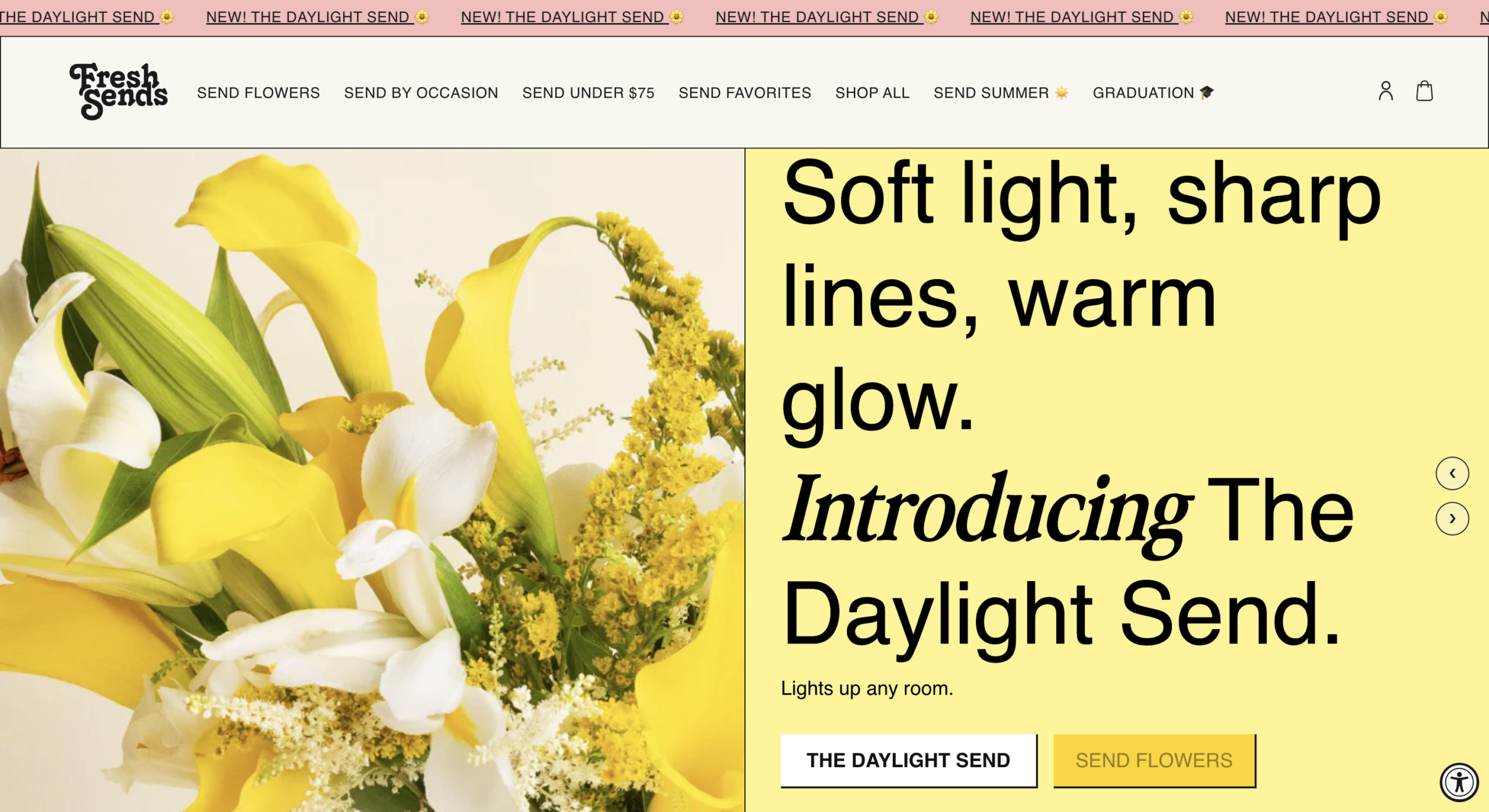 Fresh Sends website