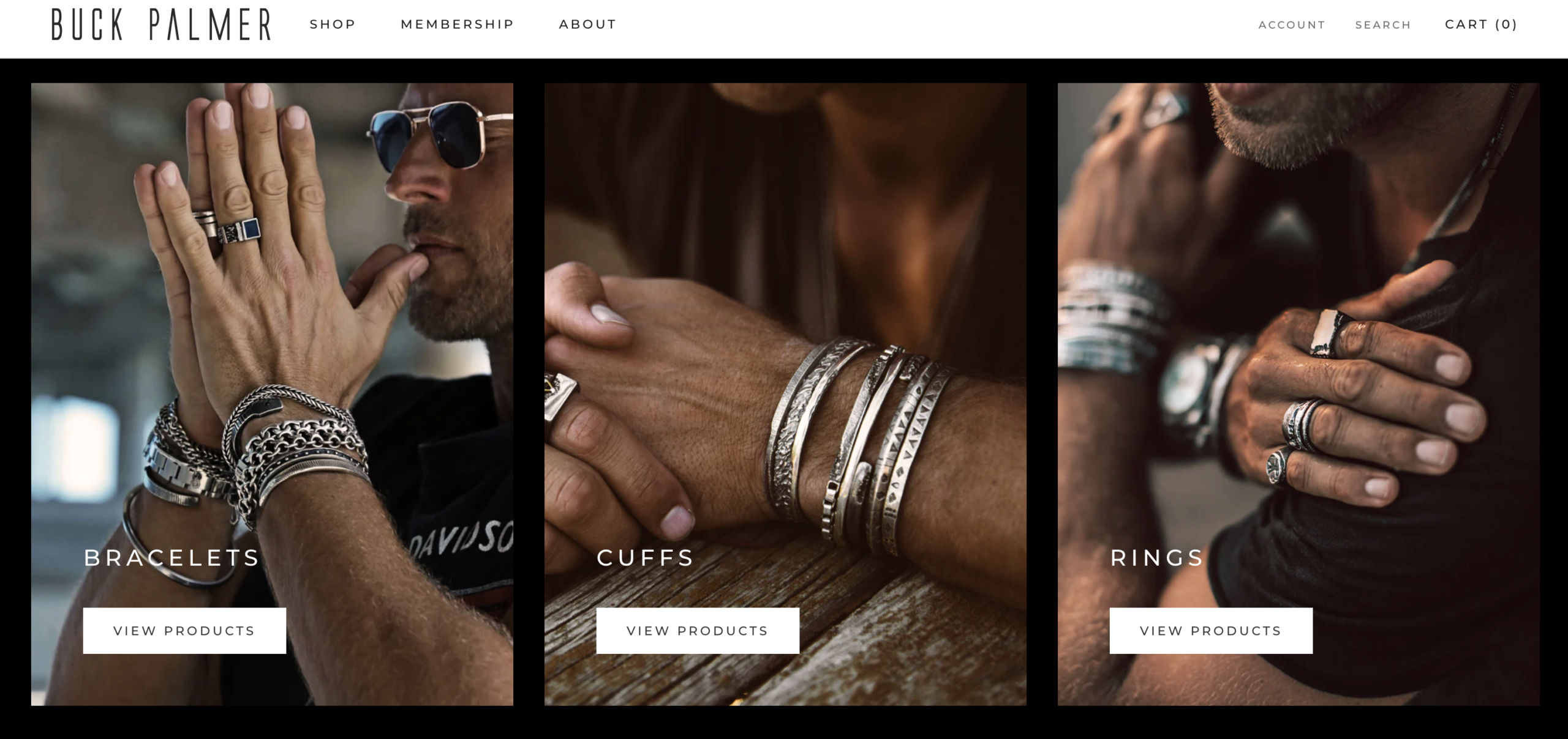 Buck Palmer website